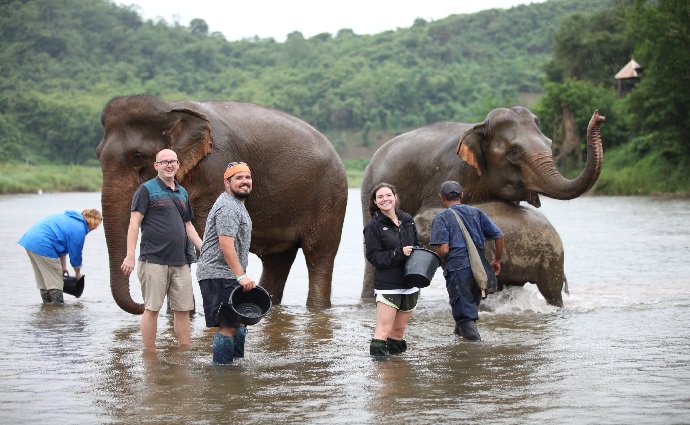 agra-elephant-sanctuary-laos