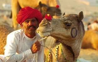 luxury-pushkar-camel-fair-tour