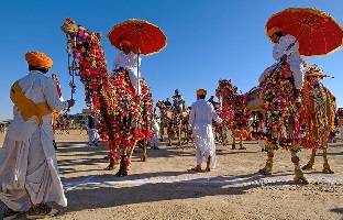 rajasthan-desert-festival-tour